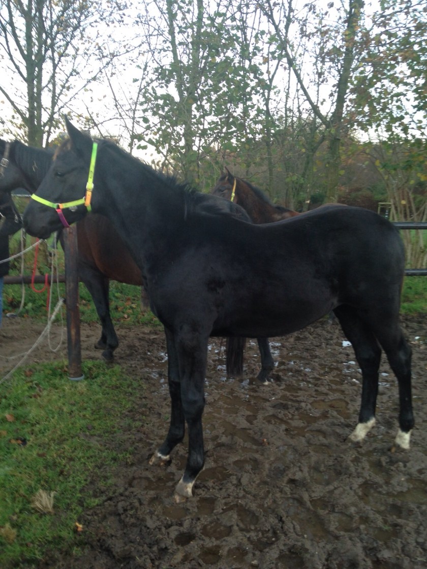 Datei 08.10.17, 21 58 07